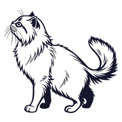 silhouette Persian cat on white background