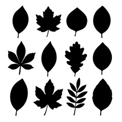 Fototapeta premium Leaf silhouettes set, vector illustration