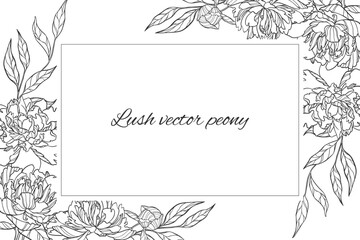 Geometric vector frame of lush peonies isolated.