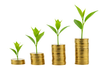 Growing Money Plant Investment Growth Financial Success transparent background