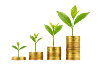 Growing Money: Investment Growth, Financial Success, Wealth Building Concept Image transparent background