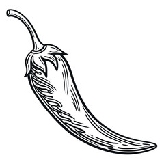 Fototapeta premium minimalistic black and white taco drawing