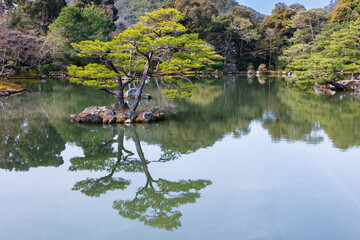 Lake and ornamental garden at the Golden Temple (kinkakuji) in Kyoto, Japan. Trees and blue sky in background. Mirror reflection on the water. 
