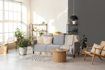 Beautiful interior of modern living room with cozy sofa, armchair, houseplants, shelving units and...