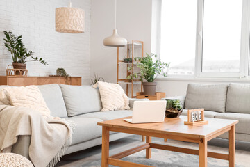 Interior of beautiful living room with comfortable sofas, houseplants, shelving unit and table with...