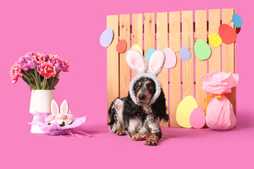 Cute cocker spaniel in bunny ears with Easter cake, gift egg, beautiful tulips and wooden fence on...