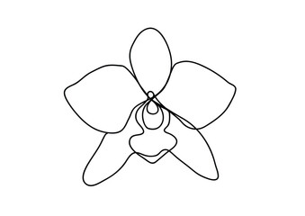 Vector line simple illustration, orchid in outline style, tropical flower, print, sticker and poster design. Black one continuous line vector illustration isolated on white background.