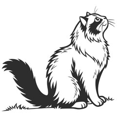 silhouette Persian cat on white background