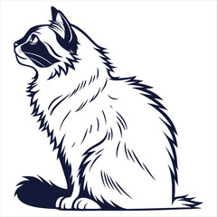 silhouette ragdoll cat on white background