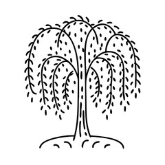 willow tree icon, willow tree line art - simple line art of willow tree, perfect for willow tree logos and icons © Sayem