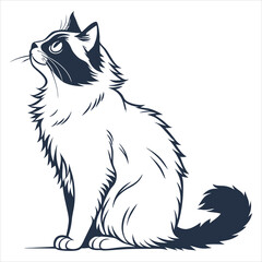 silhouette ragdoll cat on white background