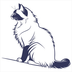 silhouette ragdoll cat on white background