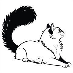 silhouette ragdoll cat on white background