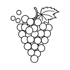 wine grapes icon, wine grapes line art - simple line art of wine grapes, perfect for wine grapes logos and icons