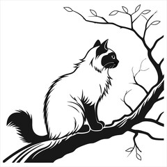 silhouette ragdoll cat on white background