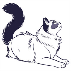 silhouette ragdoll cat on white background