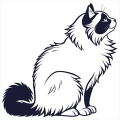 silhouette ragdoll cat on white background