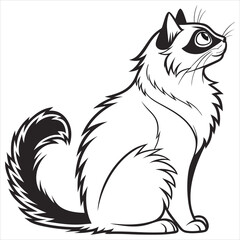 Obraz premium silhouette ragdoll cat on white background