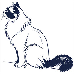 Obraz premium silhouette ragdoll cat on white background