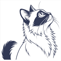 silhouette ragdoll cat on white background