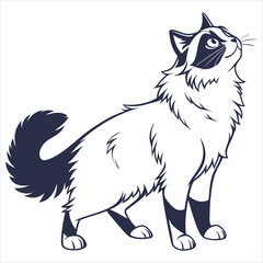 silhouette ragdoll cat on white background
