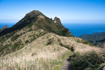 Beautiful Miscanthus blooming nearby the trail of Banping mountain in Jinguashi, in New Taipei City, Taiwan.