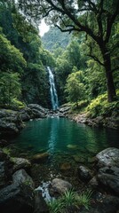 Naklejka premium Blue hour Tropical coastline concept. Lush waterfall cascading into a serene pool surrounded by dense greenery.