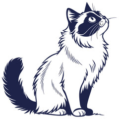 silhouette ragdoll cat on white background