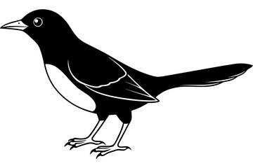 blackbird silhouette line art vector illustration with a white background