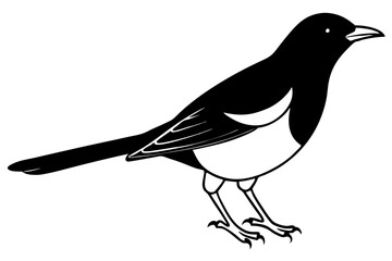 Obraz premium blackbird silhouette line art vector illustration with a white background