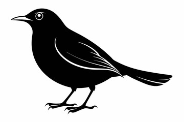 Obraz premium blackbird silhouette line art vector illustration with a white background