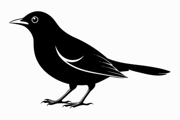 blackbird silhouette line art vector illustration with a white background