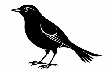 blackbird silhouette line art vector illustration with a white background