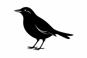 blackbird silhouette line art vector illustration with a white background