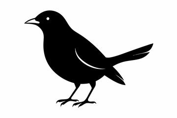 blackbird silhouette line art vector illustration with a white background