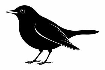blackbird silhouette line art vector illustration with a white background