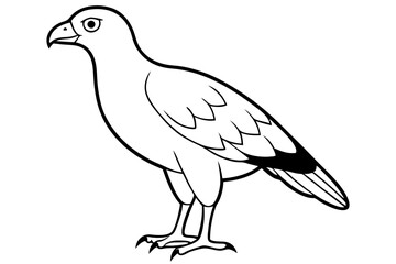 buzzard silhouette line art vector illustration with a white background