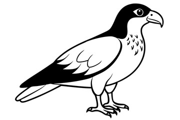 buzzard silhouette line art vector illustration with a white background