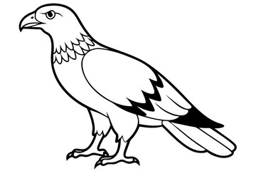 buzzard silhouette line art vector illustration with a white background