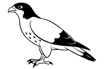buzzard silhouette line art vector illustration with a white background