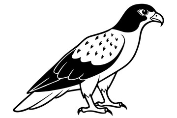 buzzard silhouette line art vector illustration with a white background