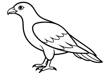 buzzard silhouette line art vector illustration with a white background