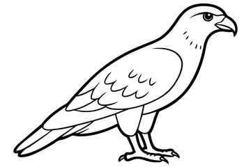 buzzard silhouette line art vector illustration with a white background