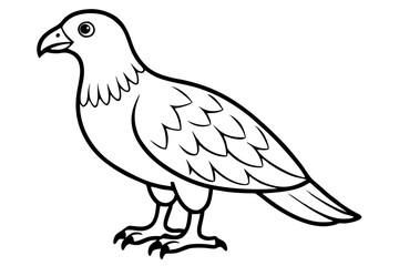 buzzard silhouette line art vector illustration with a white background