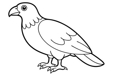 buzzard silhouette line art vector illustration with a white background
