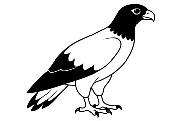 buzzard silhouette line art vector illustration with a white background