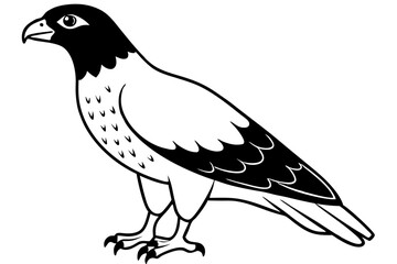 buzzard silhouette line art vector illustration with a white background
