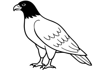 buzzard silhouette line art vector illustration with a white background
