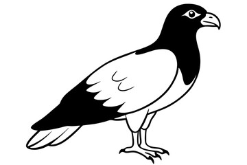 buzzard silhouette line art vector illustration with a white background