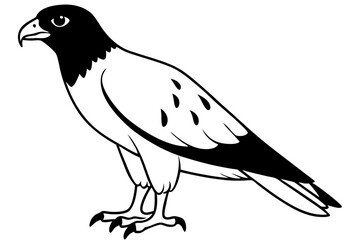 buzzard silhouette line art vector illustration with a white background